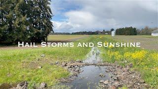 [4K] Relaxation: Spring Hail Storm and Sunshine in the Oregon Countryside