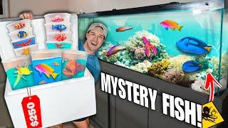 $250 SEA CREATURE Mystery FISH BOX For My SALTWATER AQUARIUM!! (shopping spree)