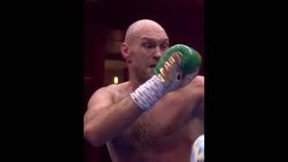 Tayson fury& Alexander usyk #boxing #usykfury #kholovteam #martialarts