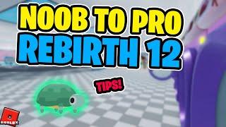 Noob to Pro | Rebirth 12 | Tips! | Laundry Simulator