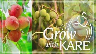 Grow with KARE: Top 10 Garden Trends for 2024