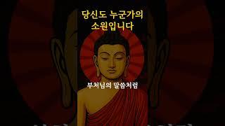 당신은 이미 충분합니다 #부처님 #명언 #긍정의말 #석가모니 #인생조언 #긍정적마인드 #철학 #자기수행 #asmr #좋은글  #마음의소리로쓰는글