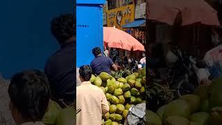 tender coconuts@New Thippasandra