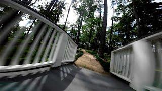Lot's of Trees  Let's go Fast!  FPV Freestyle