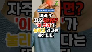 머리가 자주 띵하면? '이 부위'가 눌리고 있다는 뜻입니다!(1분요약) #건강 #건강관리 #건강생활 #건강정보