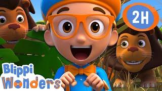 Lions | Blippi Wonders | Preschool Learning | Moonbug Tiny TV