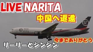 LIVE at NARITA International Airport Plane Spotting　2024.09.29 成田空港ライブカメラ 成田空港　NRT/RJAA