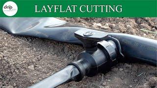 Layflat Cutting Procedure