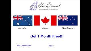 Blue Diamond Immigration consultant in patiala