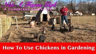 Market Garden: Using Chickens for Garden Preparation