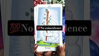 What Your INTUITION wants to tell you?#trending #adele #tarot #shortsfeed #shorts #viral #timeless