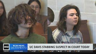 Carlos Dominguez, UC Davis stabbing suspect, returns to court