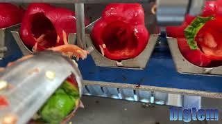 AUTOMATIC PAPRIKA PEPPERS STEM TRIMMER CORE REMOVER WITH REJECT COLLECTION CONVEYOR