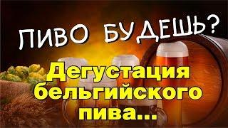 Бельгийское пиво, лучшее пиво в мире!