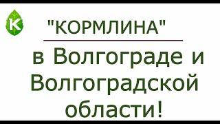 адреса продаж в Волгоградской области