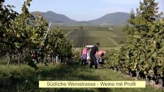 Südliche Weinstraße  - zum Wohl die Pfalz