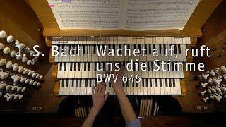 Bach: Wachet auf (BWV 645) | John Challenger, Salisbury Cathedral