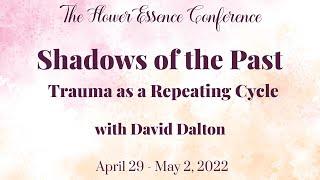 Shadows of the Past — Trauma as a Repeating Cycle with David Dalton (excerpt)