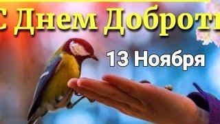 13 Ноября - всемирный День Доброты!!!