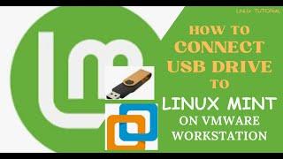 How to connect a USB Drive to Linux Mint on VMware Workstation