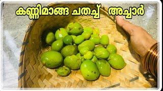 അച്ഛന് സ്പെഷൽഅച്ചാർ| കണ്ണിമാങ്ങകൊണ്ട്ഇങ്ങനെഒന്ന് അച്ചാർ ഇട്ട് നോക്കൂ|Kanni magaPicklelPicklerecipe|