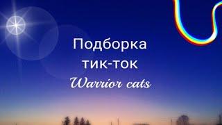 Коты воители | Подборка из тик-тока 1 ч.