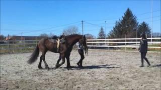 BALANCE ON THE HORSE !  STUNT-RIDING !