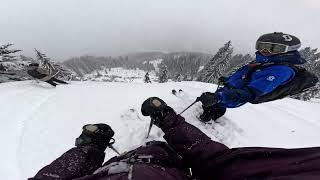 POV - Cold Smoke Tree Skiing at Arlberg