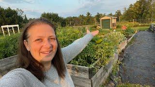 Garden TOUR and HARVEST  #upperpeninsula #garden #homestead