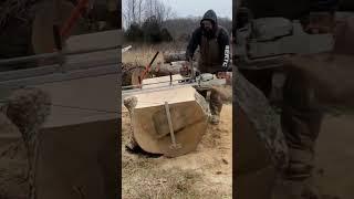 January 2021, high temp was 22°f. Stihl 661, 56inch bar capable of cutting 48.5 inches wide.