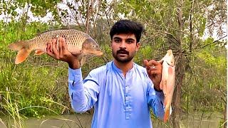 Amazing fishing video | fish catching video | समुद्र में मछली पकड़ना