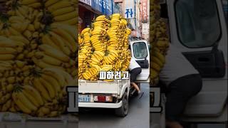 경찰을 피해 달아난 바나나장수의 최후