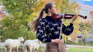 Sheep like my violin playing - Karolina Protsenko