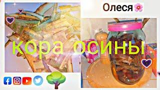 НАСТОЙКА ОСИНЫ. ЖИЗНЬ БЕЗ ПАРАЗИТОВ.