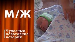 Чудеса под Новый год. Мужское / Женское. Выпуск от 26.12.2024