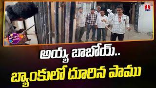 Snake Enter Into State Bank At Basara | Dhoom Dhaam Muchata | T News