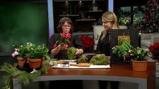 Erin Harding Shares a Blooming Winter Plant Project