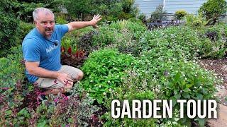 My New Favorite Part of the Garden - Full Detailed Small Garden Tour P5