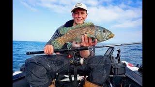 SIB fishing with lures for CRAZY species UK