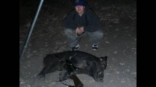 Night Vision Hog Hunting: Wild Russian Boar?