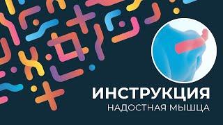 Kinexib - тейпирование надостной мышцы