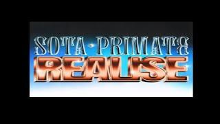 Sota,Primate-Realise