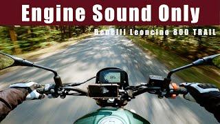 Benelli Leoncino 800 Trail - Raw Onboard - Stock Exhaust