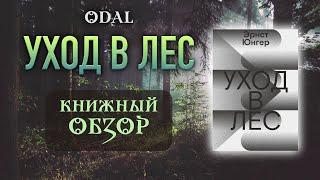 «Уход в лес» – Эрнст Юнгер // Книжный обзор