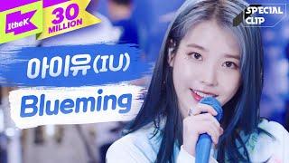 IU(아이유) 'Blueming(블루밍)' 라이브(밴드ver.) | 가사 | 스페셜클립 | Special Clip | LYRICS [4K]