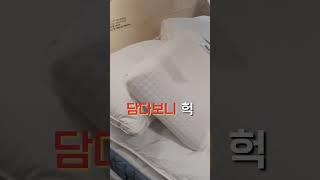 쇼핑의 함정. 이케아 IKEA를 알아버린 순간..