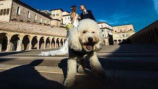 Assisi Matrimonio al Castello di Petrata