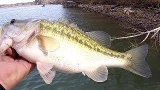 FISHING BLUFFS! Winter Bass Fishing