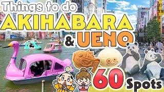 Things to do in Akihabara and Ueno Tokyo / Japan Travel Update 2024