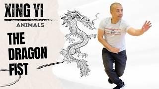 Xing Yi Tips - The Dragon Fist  - Kung Fu Report #348